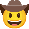 :cowboy__1f920: