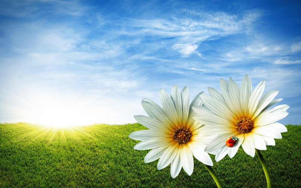 17735-desktop-wallpapers-spring-comes.thumb.jpg.4a3ac64a95a9b219a679f479c4acc3a9.jpg