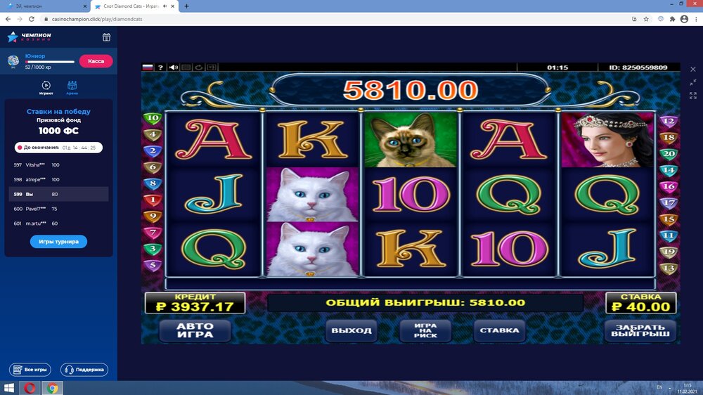 Скриншот 11-02-2021 011536.jpg