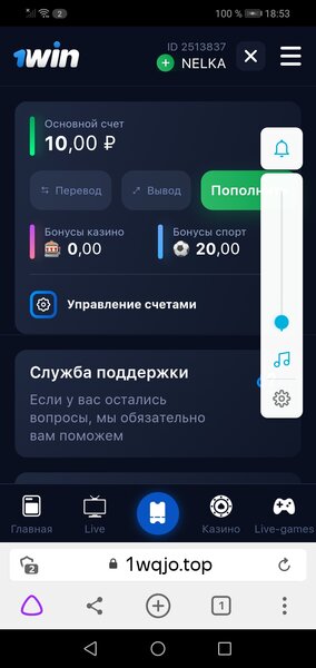 Screenshot_20210611_185334_com.yandex.browser.jpg