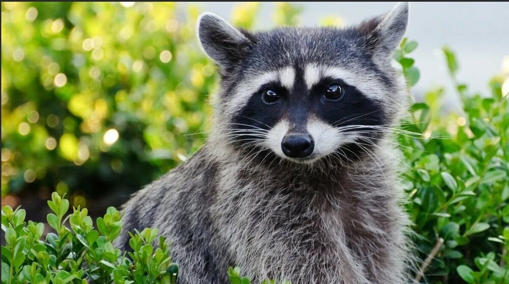 Скриншот 10-10-2021 190345.jpg