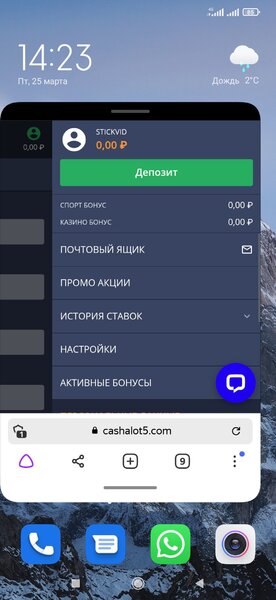 Screenshot_2022-03-25-14-23-07-645_com.yandex.browser.jpg