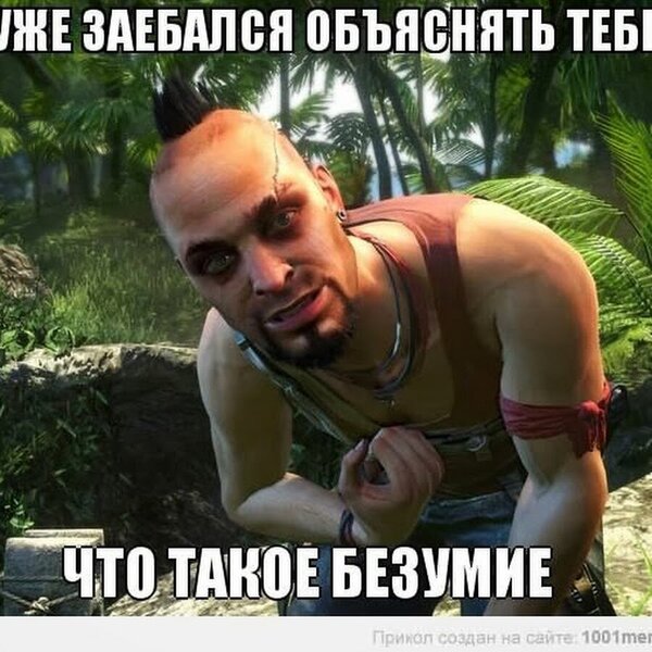 vaas_montenegro_a_ti_znaesh_chto_takoe_bezumie.thumb.jpg.188035b155102490e46fb99c62debe6f.jpg