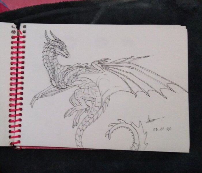 photo_2022-07-03_21-26-13 (3).jpg