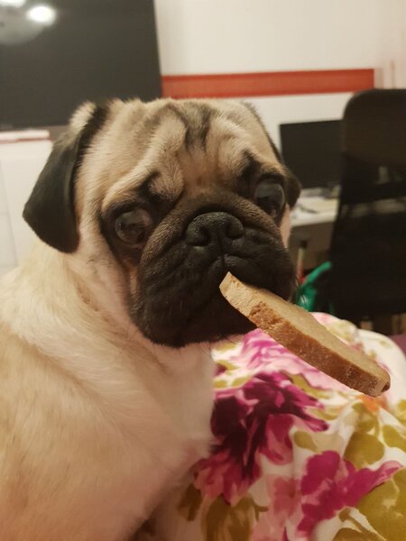 photo_2023-06-30_11-03-30 (2).jpg