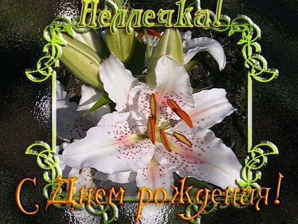 s-dnem-rozhdeniya-nellie-25.jpg.4157200522e9be6d1fc3b0235167524c.jpg