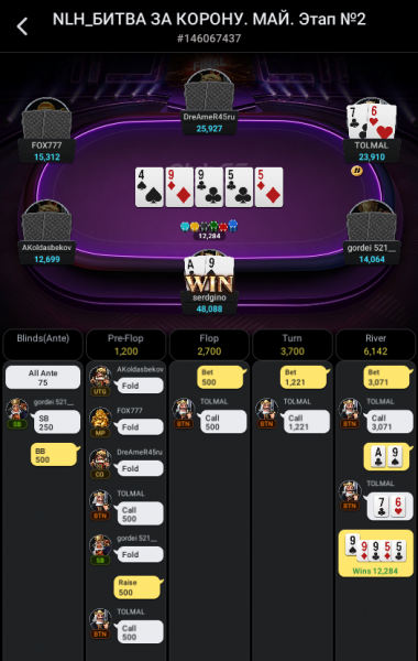 Окно переполнения области задач._240513214704.png