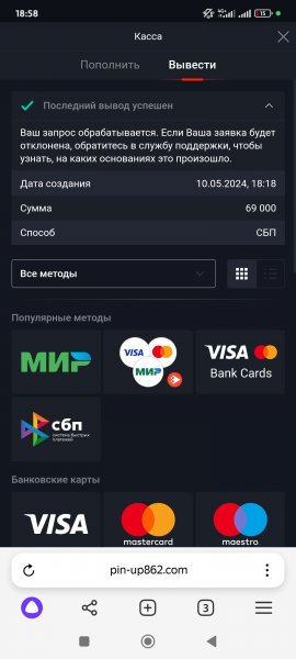 Screenshot_2024-05-10-18-58-32-483_com.yandex.browser.jpg