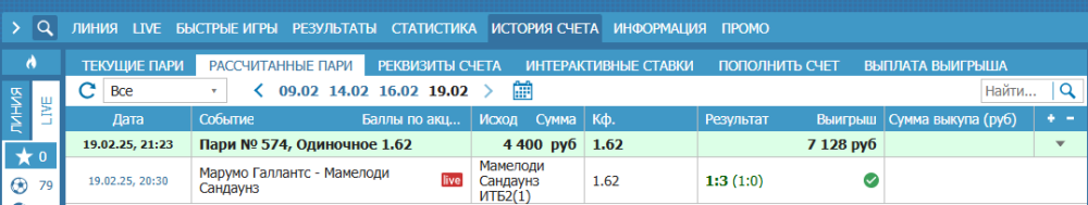 отчет марумо - мамелоди.png