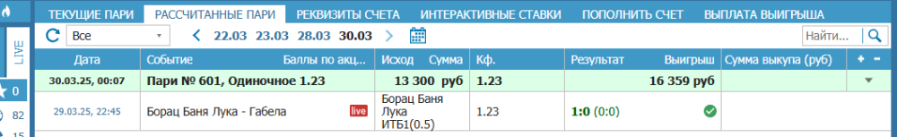 отчет борац первый.png