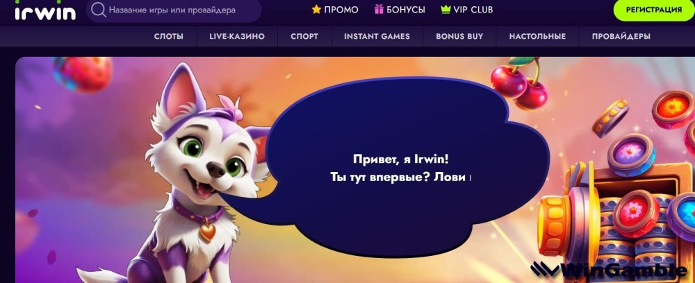 6546.jpg