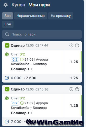 аурора -боливар отчет.png