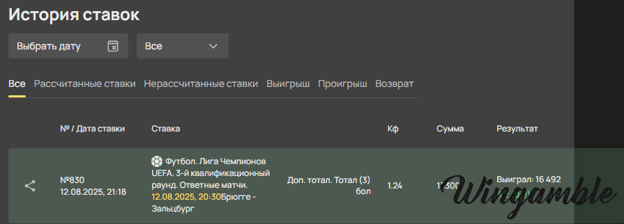 отчет брюгге - зальц.png