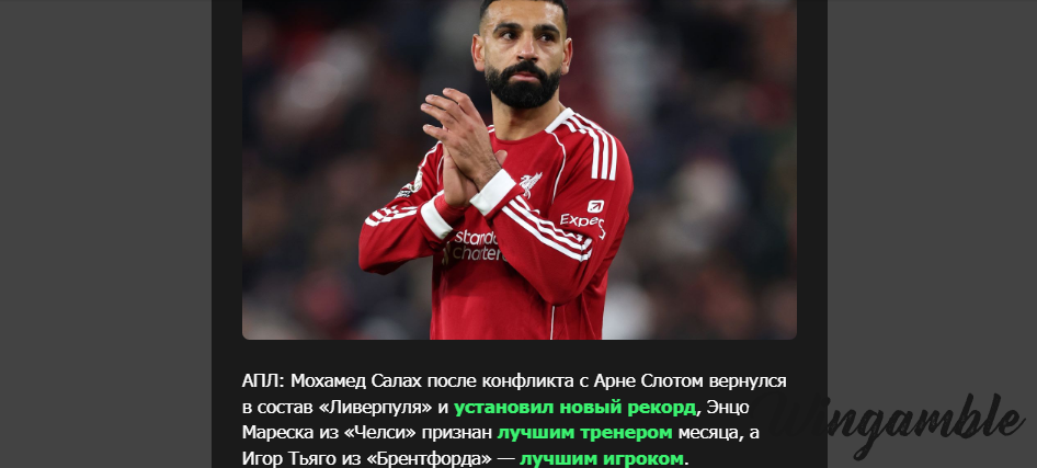 Opera Снимок_2025-12-15_165930_mail.google.com.png