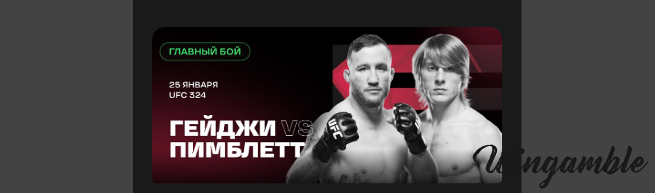 Opera Снимок_2026-01-24_224001_mail.google.com.png