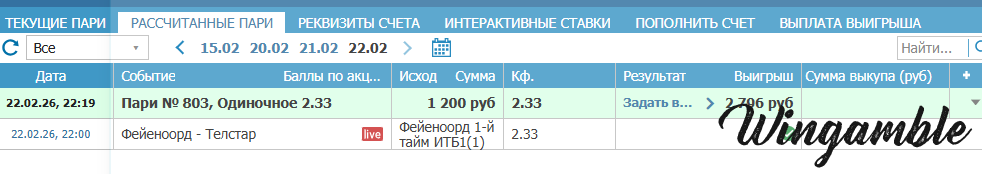 отчет фейнорд тельстар.png