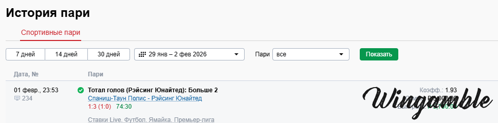 отчет спаниш рейсинг.png