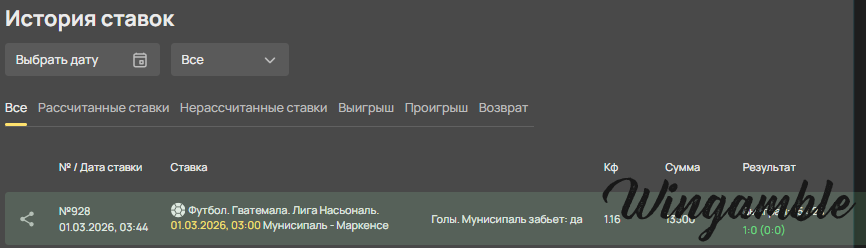 отчт по мануципалетету.png