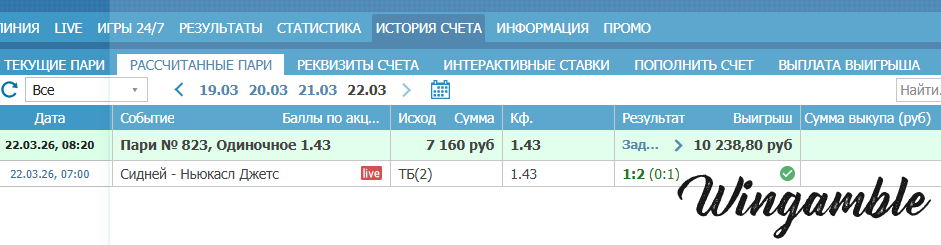 отчет сидней ньюкасл джетс.png