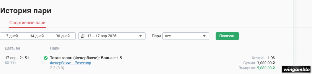 отчет по фнер рези.png