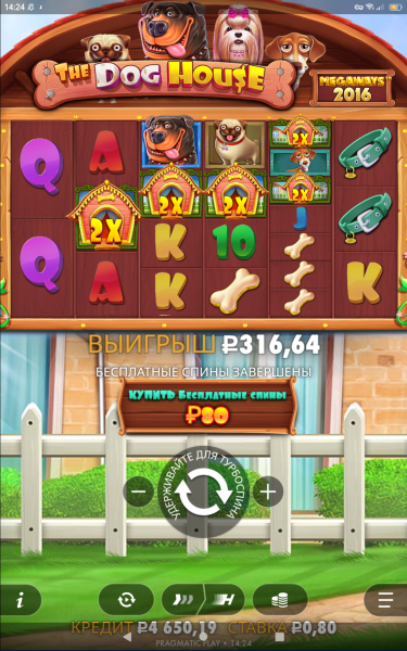 Screenshot_20261022-142437.png